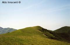 ALTRA IMMAGINE DELLA VETTA DEL MONTE ALBANO