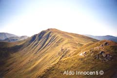 MONTE SILLANO