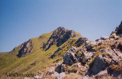 IL MONTE VECCHIO