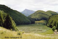 ALTRA IMMAGINE DEL LAGO PRATIGNANO