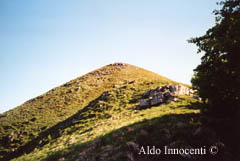 VETTA DEL MONTE SALTELLO