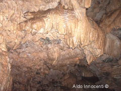 TANA CHE URLA: LA GROTTA CINQUE