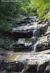 ANCORA UNA BELLA CASCATA NELLA RISERVA DI SASSOFRATINO