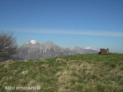VETTA DEL MONTE PALODINA