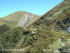 LA VIA DEI REMI DA PIAN DELLA CACIAIA AL PASSO DEL TERZINO